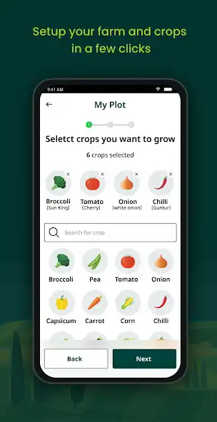 Play Acresquare Plus as an online game Acresquare Plus with UptoPlay