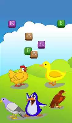 Play Activity Book