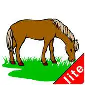 Free play online Act with Outside Itm UPic Lite APK