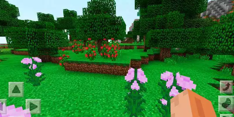 Play Acumen Puzzles. Map for MCPE