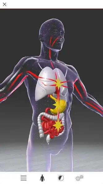 Play Acupuncture 3D Play Acupuncture 3D