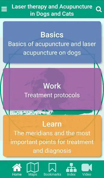 Play Acupuncture and laser therapy in dogs and cats  and enjoy Acupuncture and laser therapy in dogs and cats with UptoPlay