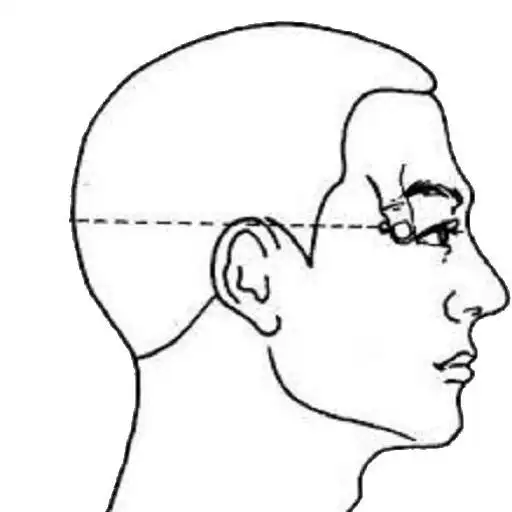 Play Acupuncture Index - Acupoints APK