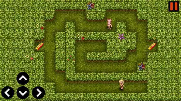 Play Adam and Eve - Adam find Eve