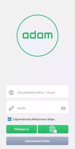 Play Adam assistant  and enjoy Adam assistant with UptoPlay