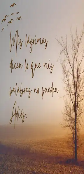 Play adios para siempre  and enjoy adios para siempre with UptoPlay