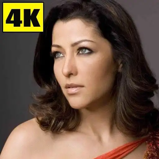 Play Aditi Gowitrikar Wallpapers APK