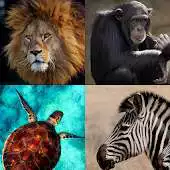 Free play online Adivina animales APK Free play online Adivina animales APK