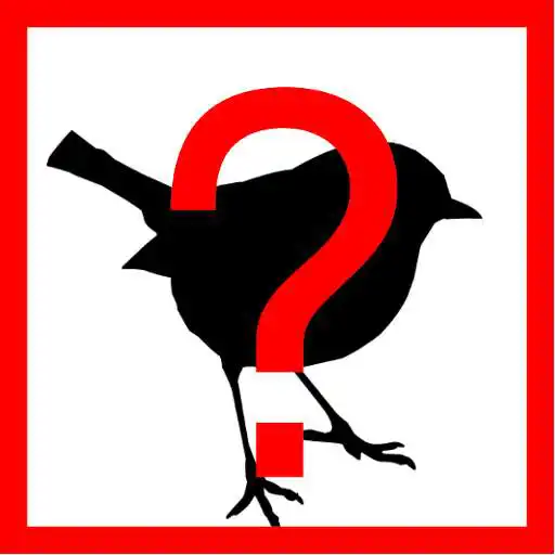 Play Adivina el Ave APK