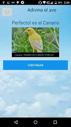 Play Adivina el Ave as an online game Adivina el Ave with UptoPlay