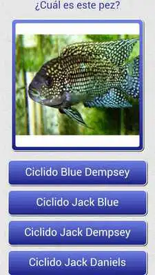 Play Adivina los Peces
