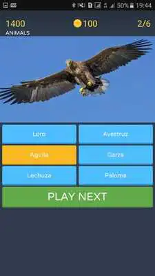 Play Adivinar Fotos - Quiz