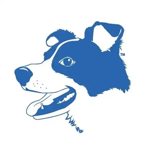 Play A Dog’s Dream APK