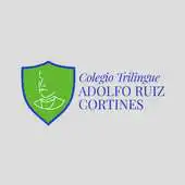 Free play online Adolfo Ruiz Cortines School APK