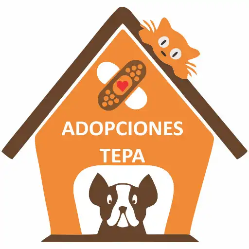 Play Adopciones Tepa APK Play Adopciones Tepa APK