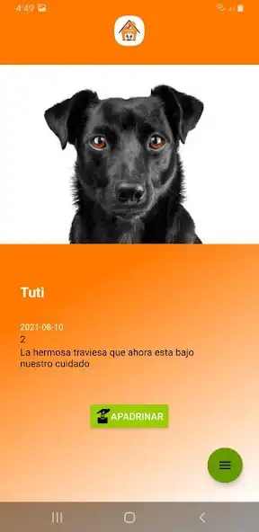 Play Adopciones Tepa as an online game Adopciones Tepa with UptoPlay