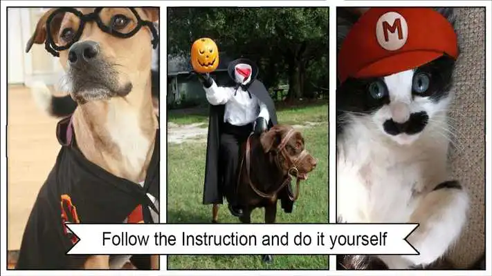 Play Adorable Animal Costumes