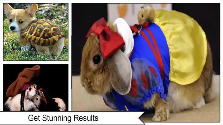 Play Adorable Animal Costumes