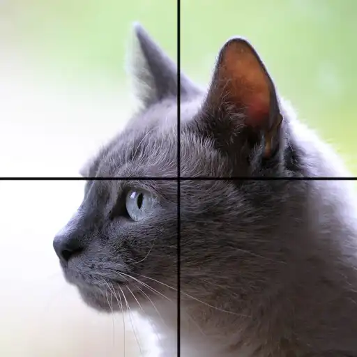 Play Adorable Cat Puzzles APK