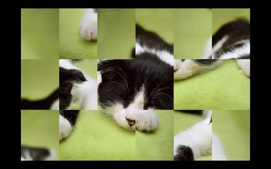 Play Adorable Cat Puzzles  and enjoy Adorable Cat Puzzles with UptoPlay
