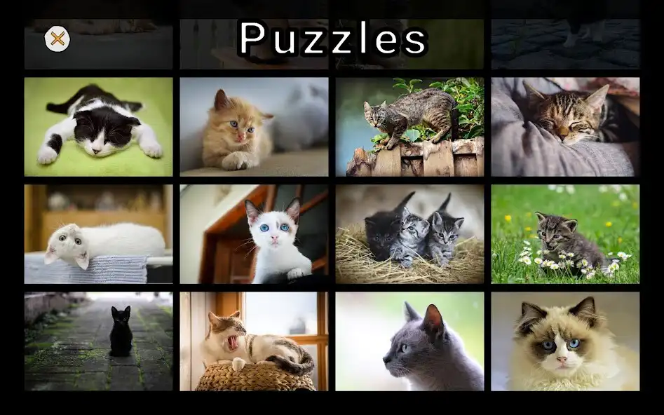 Play Adorable Cat Puzzles as an online game Adorable Cat Puzzles with UptoPlay
