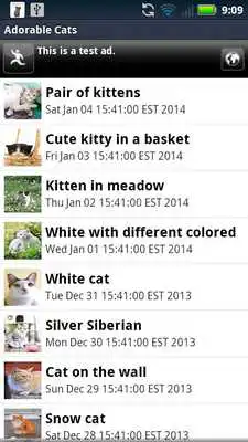 Play Adorable Cats Live Wallpaper