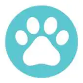 Free play online AdoteCG APK