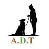 Free play online Advanced Dog Training APK Free play online Advanced Dog Training APK