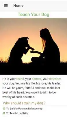 Play Advanced Dog Training