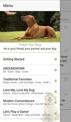 Play Advanced Dog Training