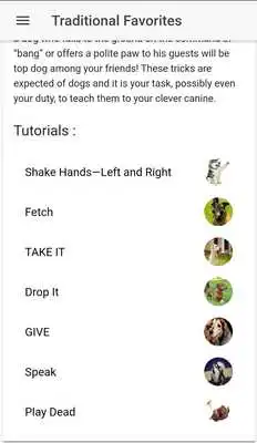 Play Advanced Dog Training
