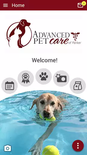 Play Advanced Pet Care of Parker  and enjoy Advanced Pet Care of Parker with UptoPlay
