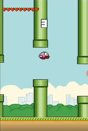 Play Adventure bird