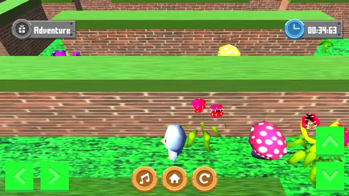 Play Adventure Maze 3D