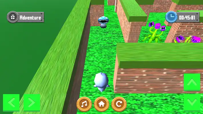 Play Adventure Maze 3D