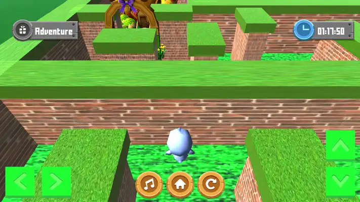 Play Adventure Maze 3D