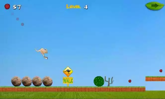 Play Adventure Of Crazy Kangaroo