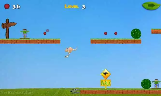 Play Adventure Of Crazy Kangaroo