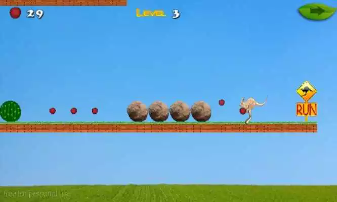 Play Adventure Of Crazy Kangaroo