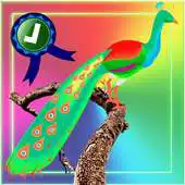Free play online Adventurer Peacock Jumping APK