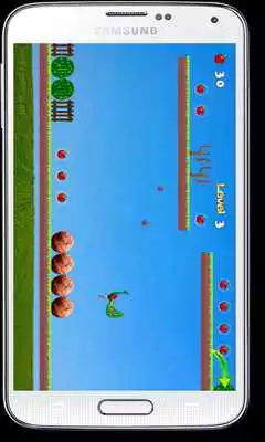 Play Adventurer Peacock Jumping