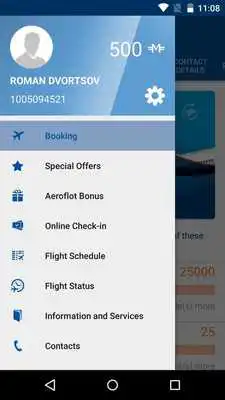 Play Aeroflot