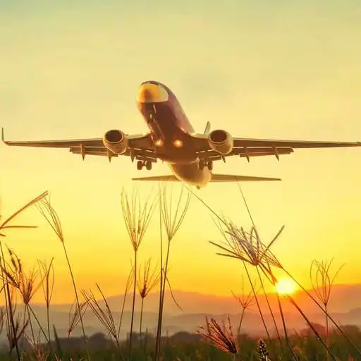 Play Aeroplane Wallpapers APK Play Aeroplane Wallpapers APK