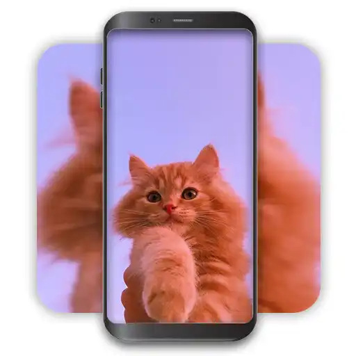 Play Aesthetic Cute Cat Wallpaper APK