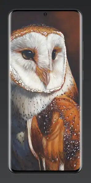 Play Aesthetic Owl Wallpaper 4K  and enjoy Aesthetic Owl Wallpaper 4K with UptoPlay
