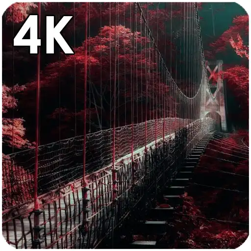 Play Aesthetic Wallpaper 2024 APK