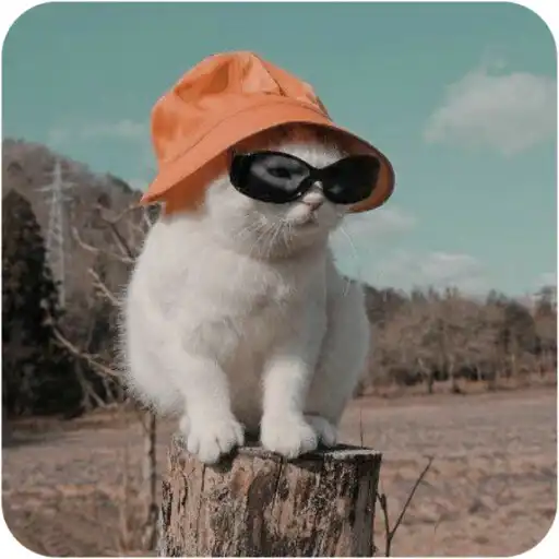Play Aesthetic Wallpaper - Cute HD APK