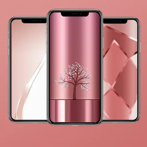 Play Aesthetic Wallpaper Rose Gold APK