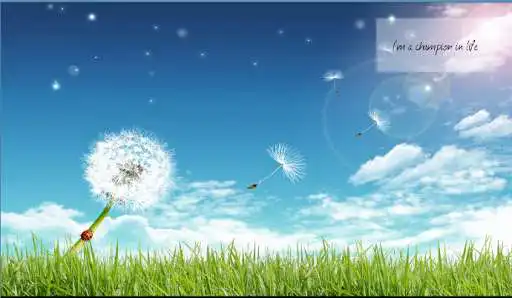 Play Affirmation Plus