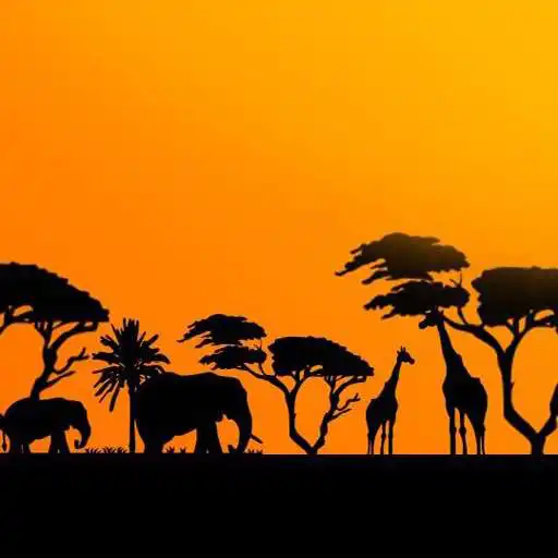 Play African Wallpaper 4K APK Play African Wallpaper 4K APK